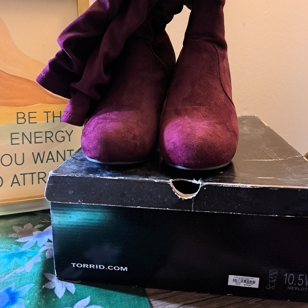 10.5 merlot suede knee boots